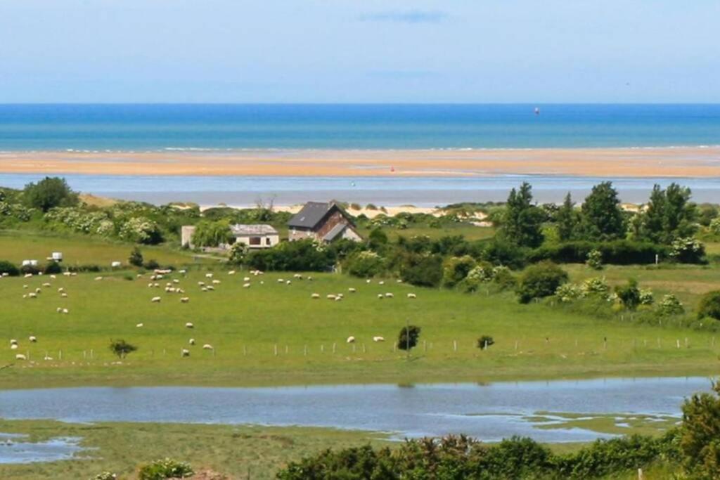 Maison Au Pied Des Dunes, 200M De La Plage Montmartin-sur-Mer Eksteriør billede